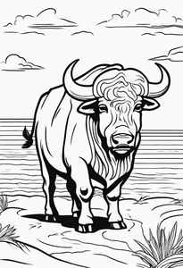 Buffalo in Beach
